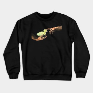 Michelangelo's Duckling, Creation of Baby Duck Crewneck Sweatshirt